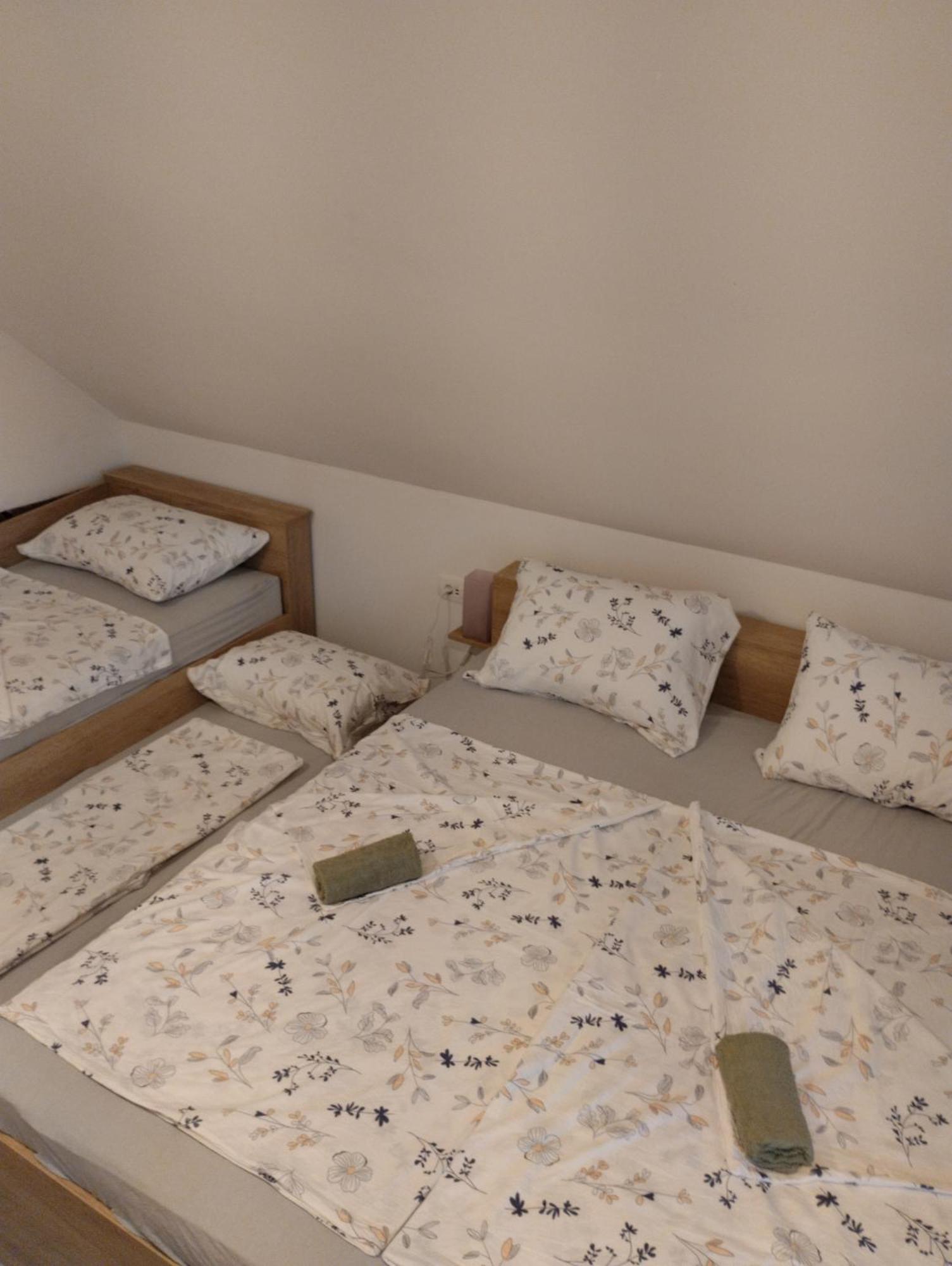 Apartma Sveti Duh Nova Vas  Eksteriør bilde